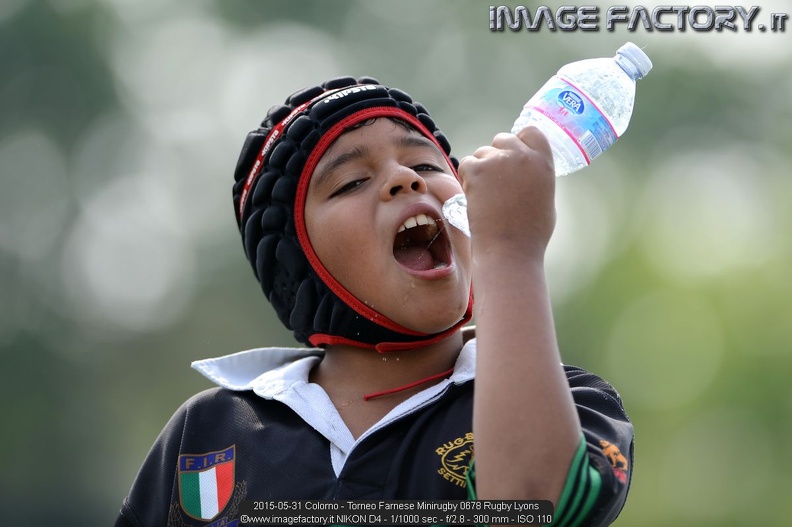 2015-05-31 Colorno - Torneo Farnese Minirugby 0678 Rugby Lyons.jpg